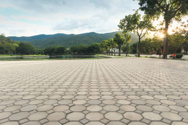 Best Concrete Paver Driveway  in Cedar Park, TX